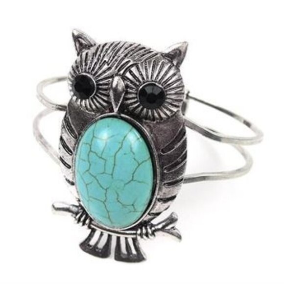 $50 for a set Turquoise Owl Bracelet $29.95 Turquoise Earrings $19.95 - Picture 7 of 14